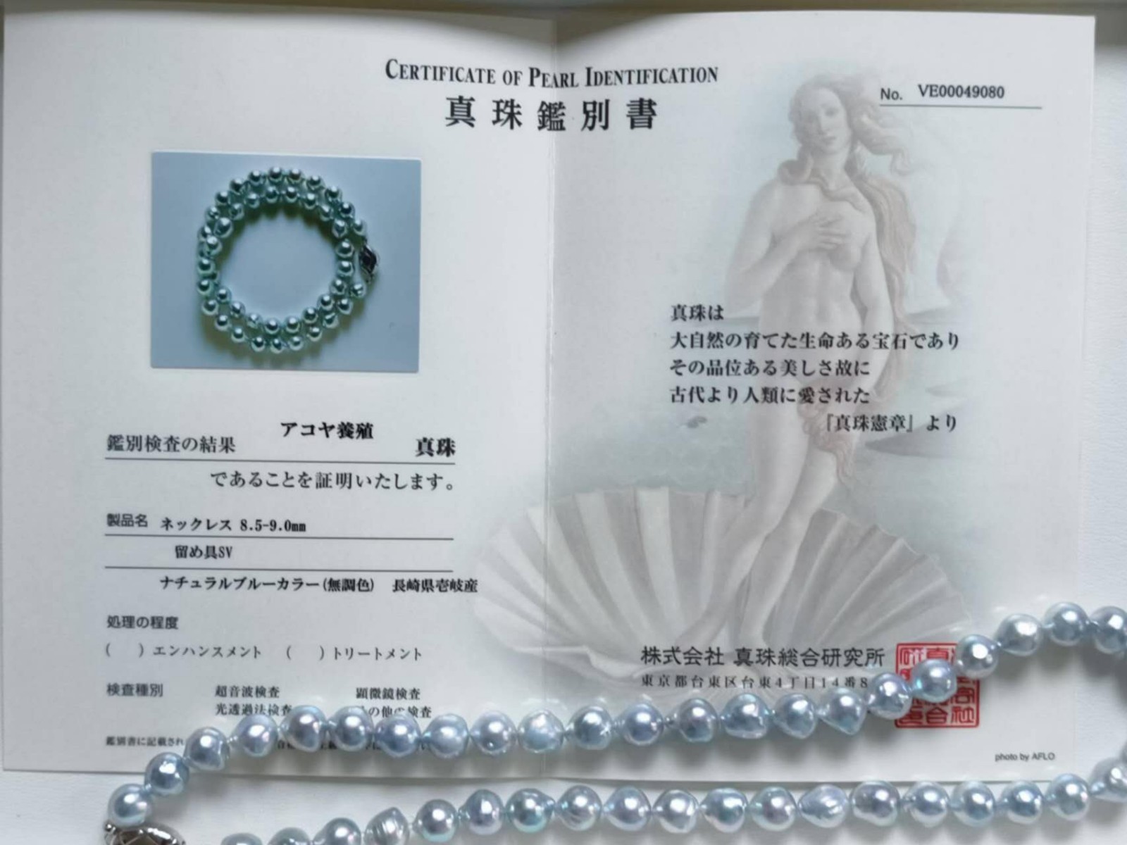 Natural Madama Blue Akoya Pearl Necklace Baroque 8.5-9mm Japan Certified Sterlin